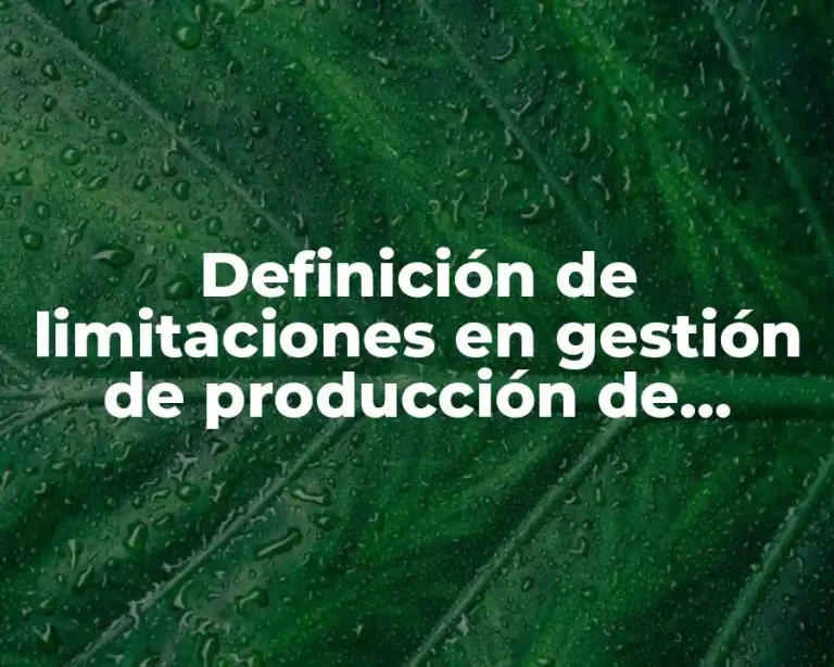 Definición de limitaciones en gestión de producción de brasires