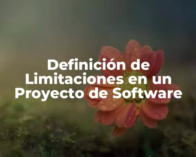 Definición de Limitaciones en un Proyecto de Software