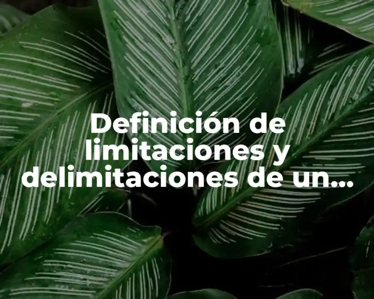 Definición de limitaciones y delimitaciones de un proyecto de investigación