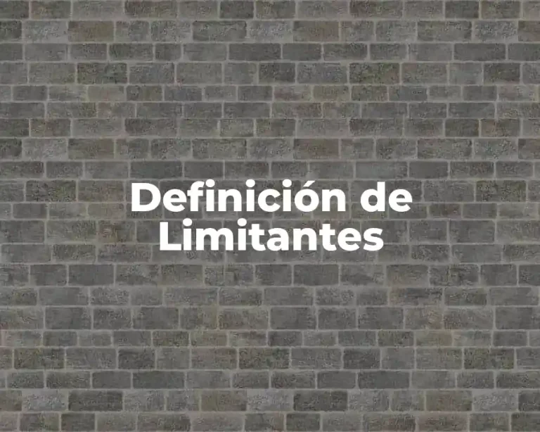 Definición de Limitantes