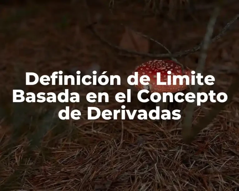 Definición de Limite Basada en el Concepto de Derivadas