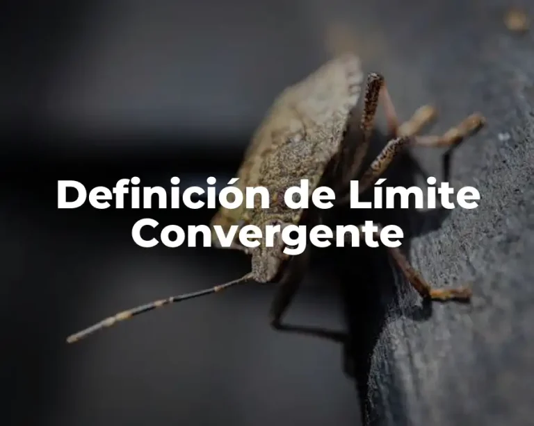 Definición de Límite Convergente