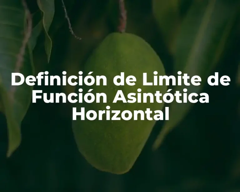 Definición de Limite de Función Asintótica Horizontal