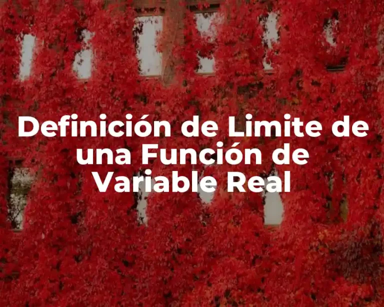 Definición de Limite de una Función de Variable Real