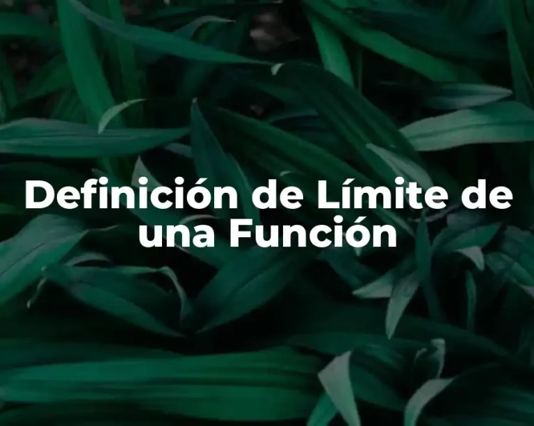 Definición de Límite de una Función