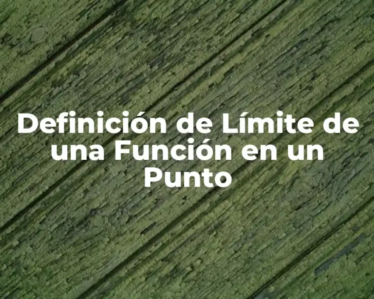 Definición de Límite de una Función en un Punto