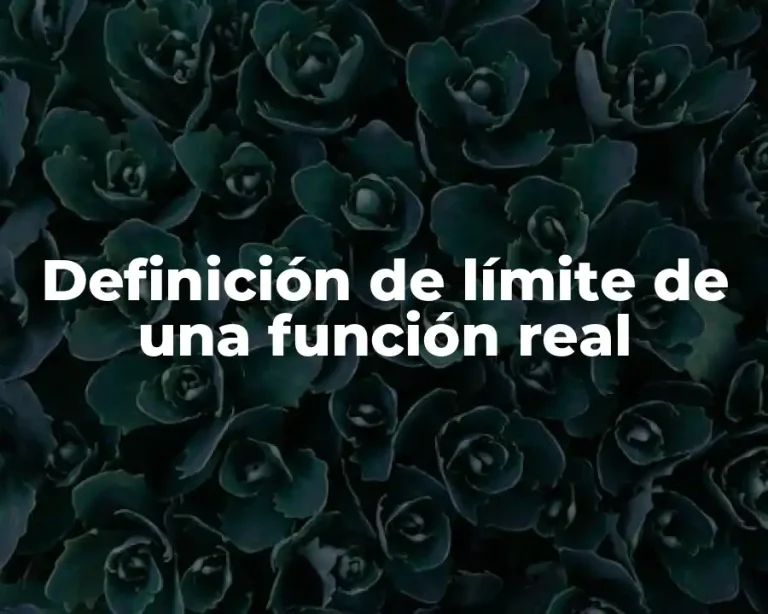 Definición de límite de una función real
