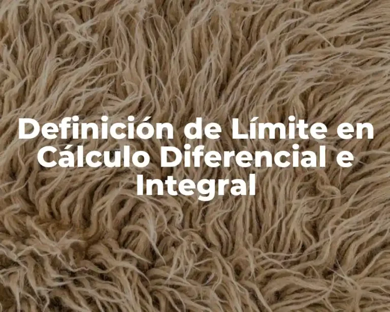 Definición de Límite en Cálculo Diferencial e Integral