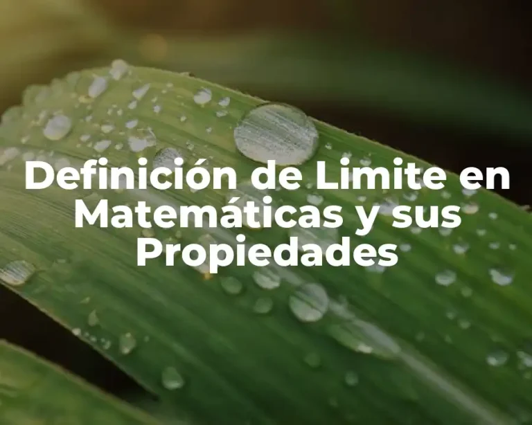 Definición de Limite en Matemáticas y sus Propiedades