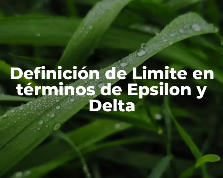 Definición de Limite en términos de Epsilon y Delta