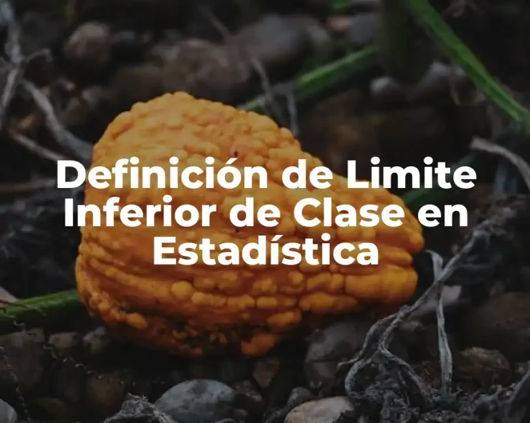 Definición de Limite Inferior de Clase en Estadística