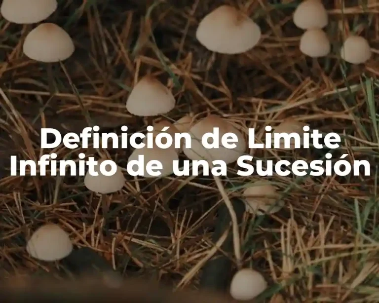 Definición de Limite Infinito de una Sucesión