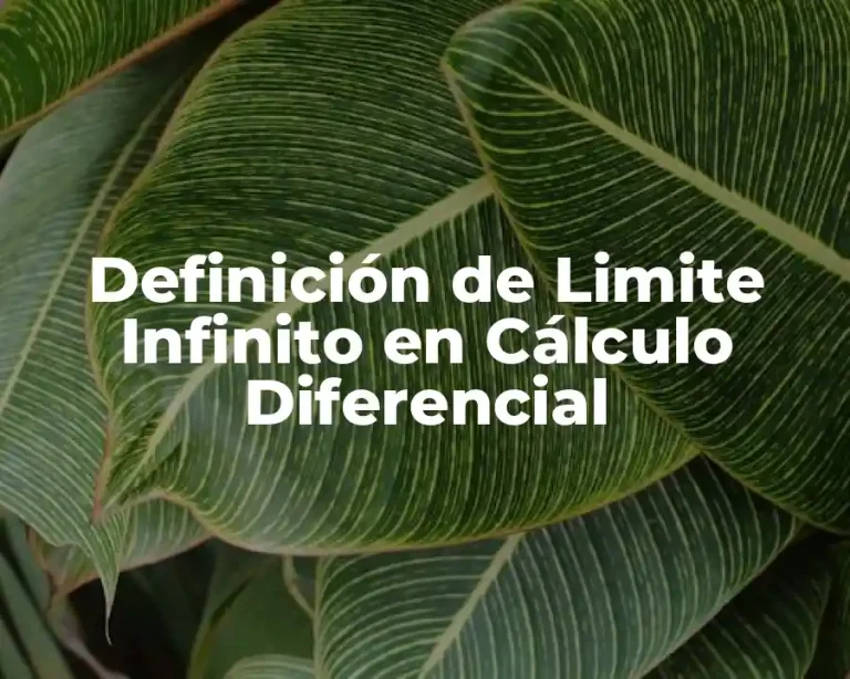Definición de Limite Infinito en Cálculo Diferencial