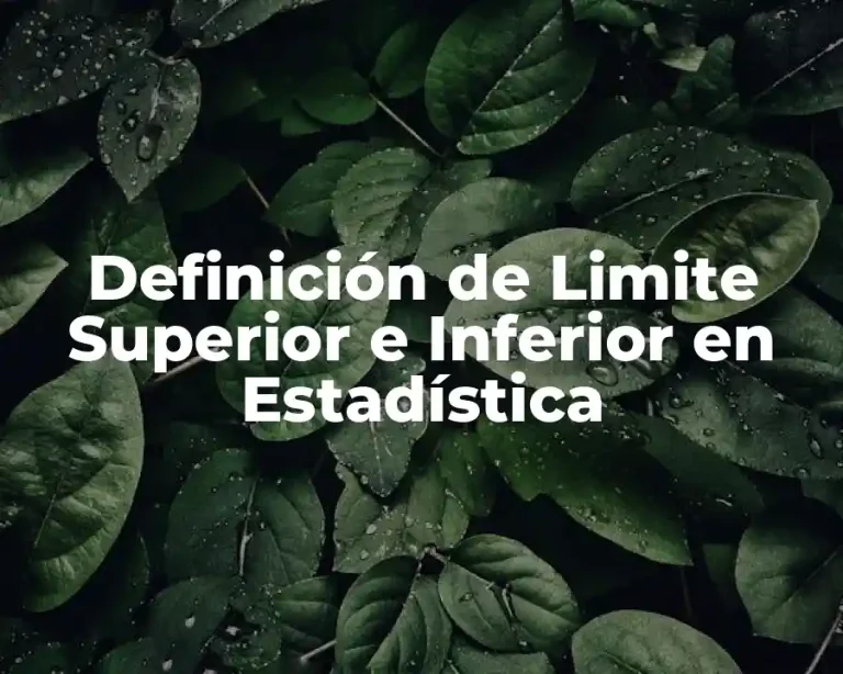 Definición de Limite Superior e Inferior en Estadística