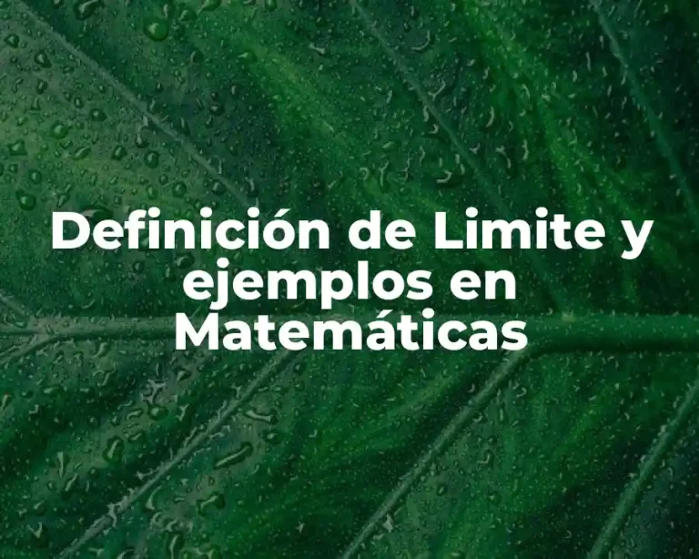 Definición de Limite y ejemplos en Matemáticas