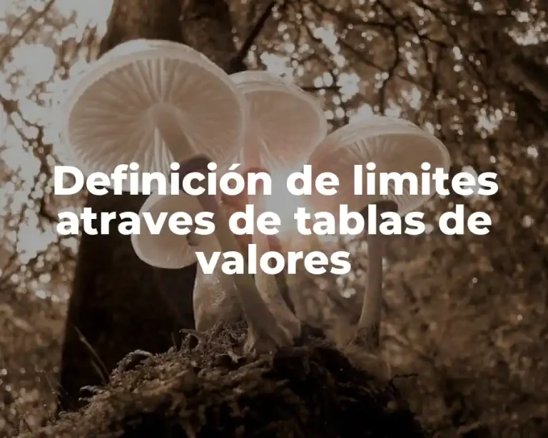 Definición de limites atraves de tablas de valores