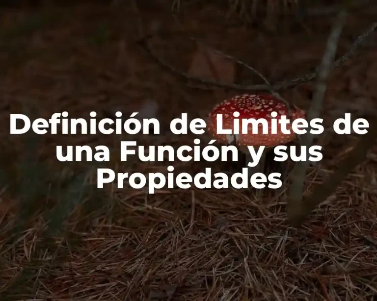 Definición de Limites de una Función y sus Propiedades