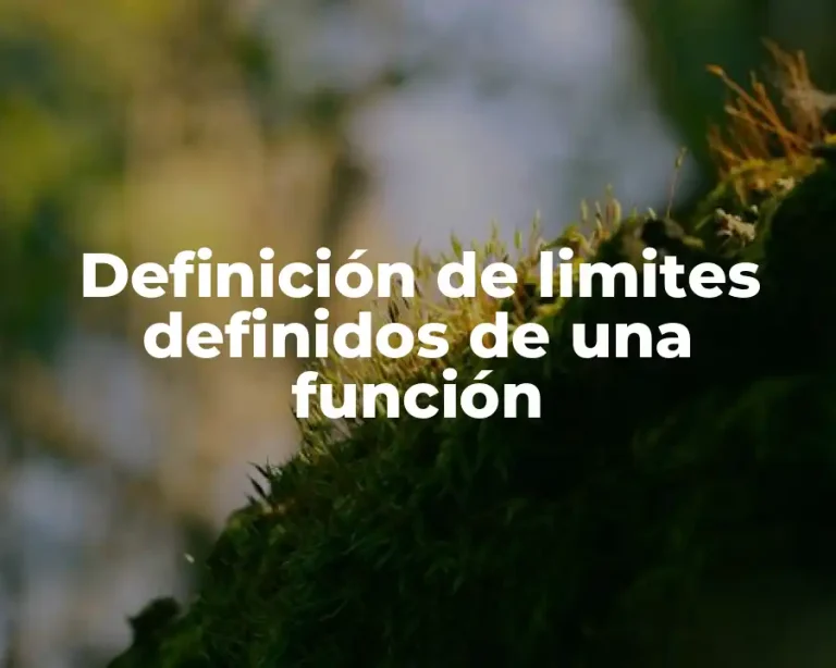 Definición de limites definidos de una función