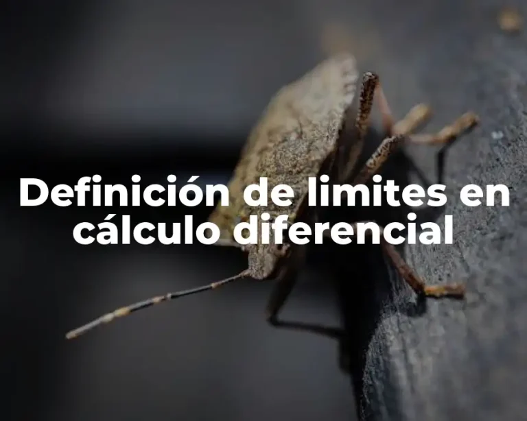 Definición de limites en cálculo diferencial