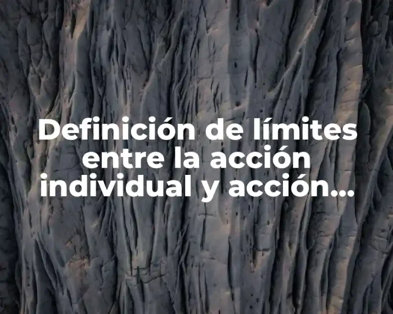 Definición de límites entre la acción individual y acción social