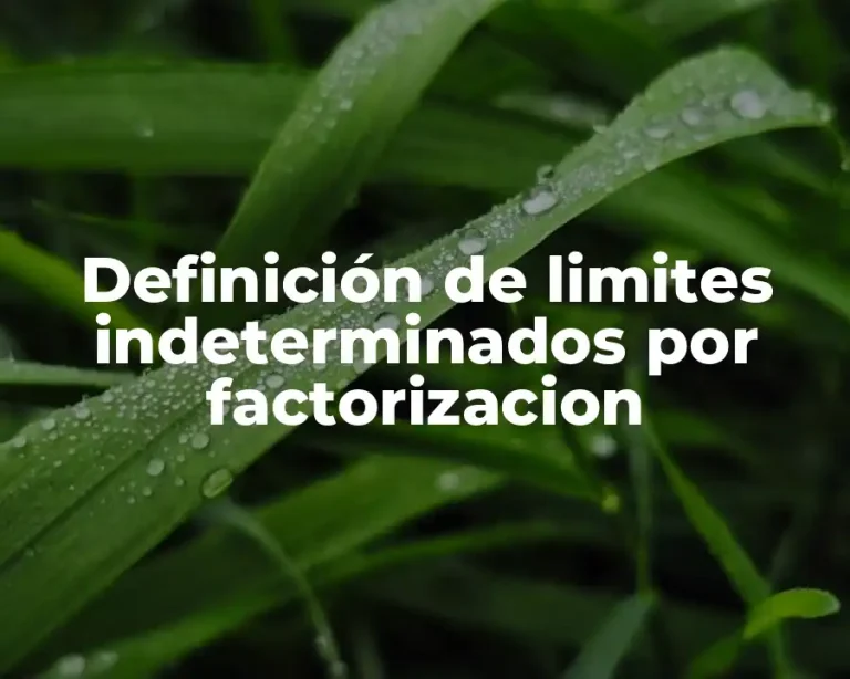 Definición de limites indeterminados por factorizacion