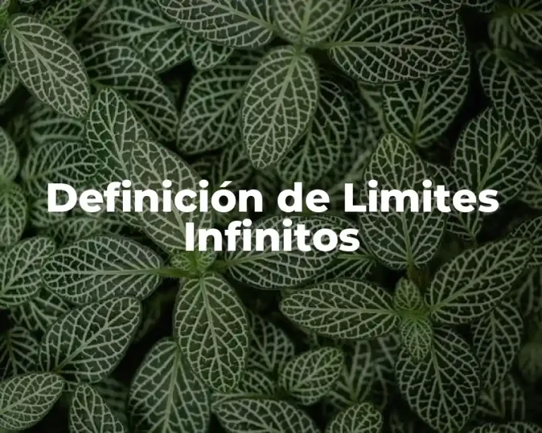 Definición de Limites Infinitos