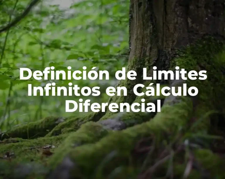 Definición de Limites Infinitos en Cálculo Diferencial