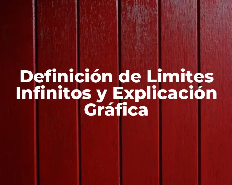 Definición de Limites Infinitos y Explicación Gráfica