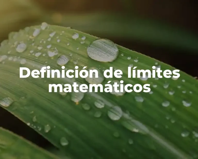 Definición de límites matemáticos