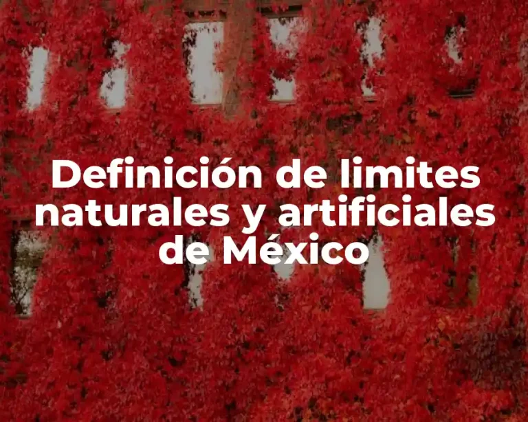 Definición de limites naturales y artificiales de México