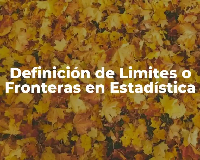 Definición de Limites o Fronteras en Estadística