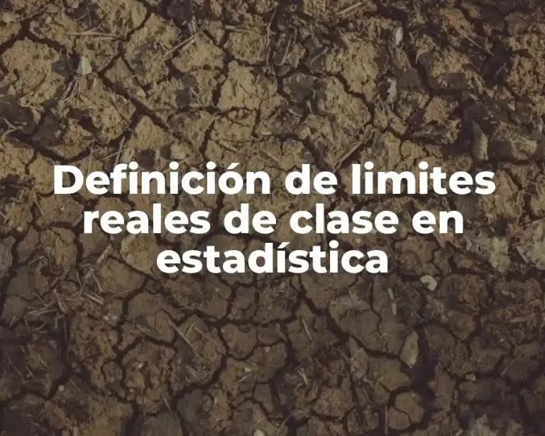 Definición de limites reales de clase en estadística
