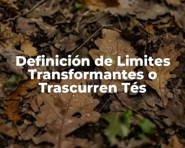 Definición de Limites Transformantes o Trascurren Tés