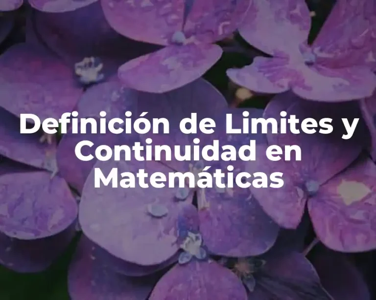 Definición de Limites y Continuidad en Matemáticas