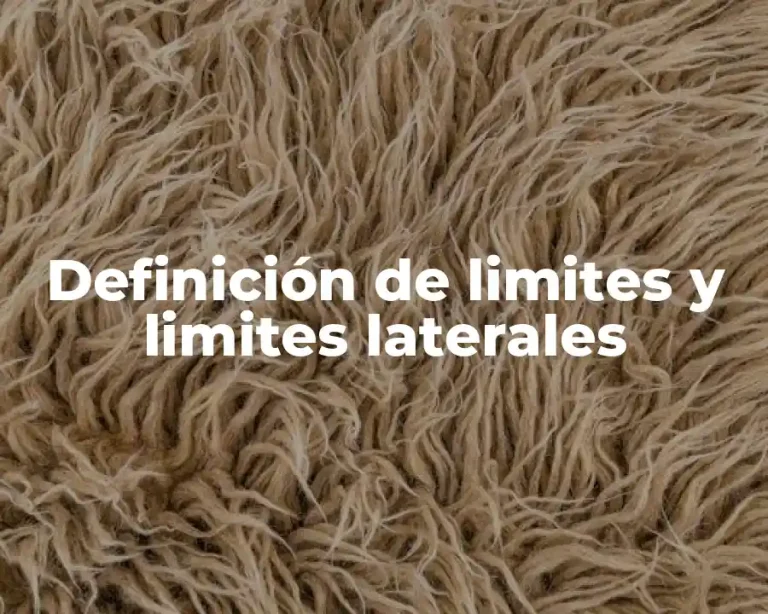 Definición de limites y limites laterales