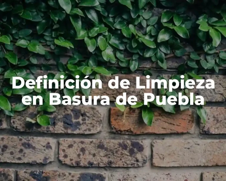 Definición de Limpieza en Basura de Puebla
