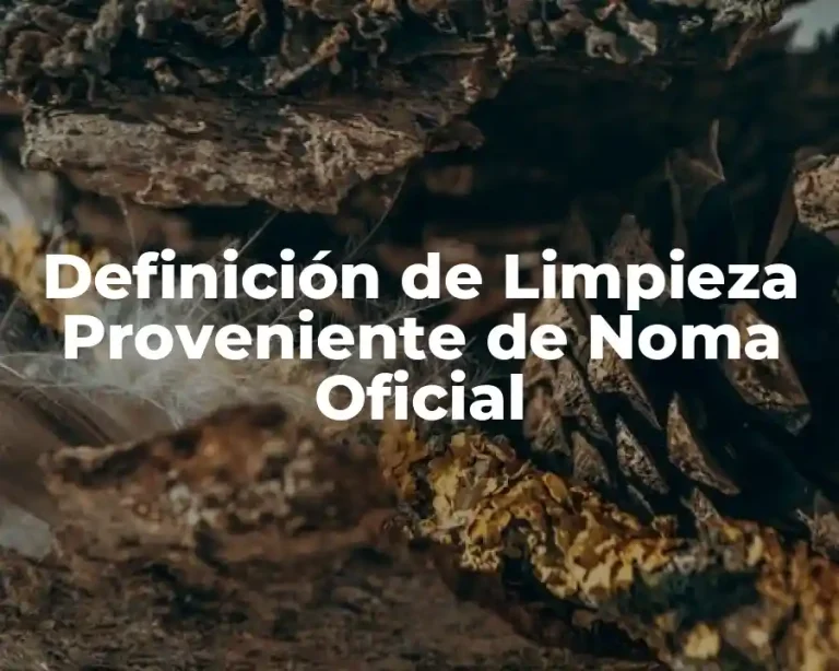 Definición de Limpieza Proveniente de Noma Oficial