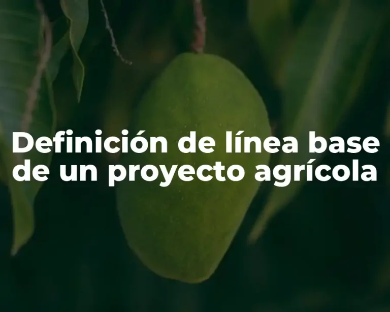 Definición de línea base de un proyecto agrícola