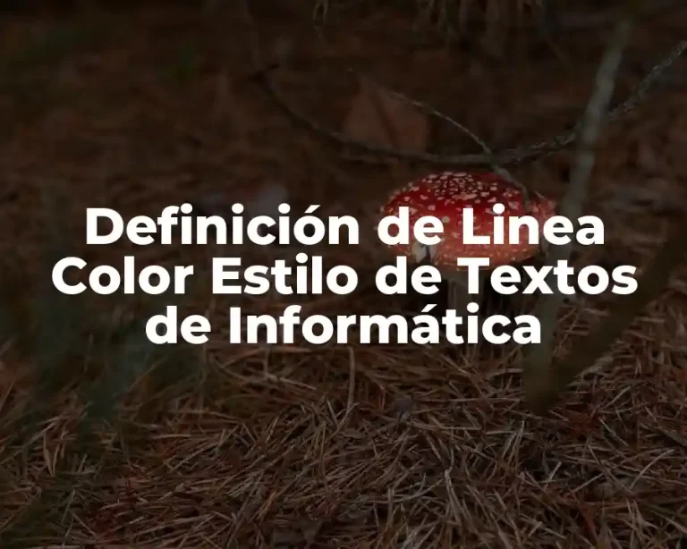 Definición de Linea Color Estilo de Textos de Informática