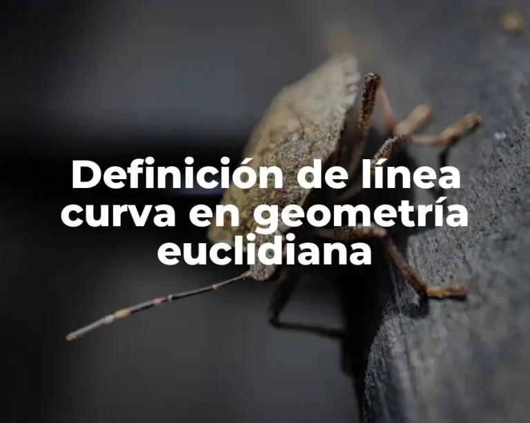 Definición de línea curva en geometría euclidiana
