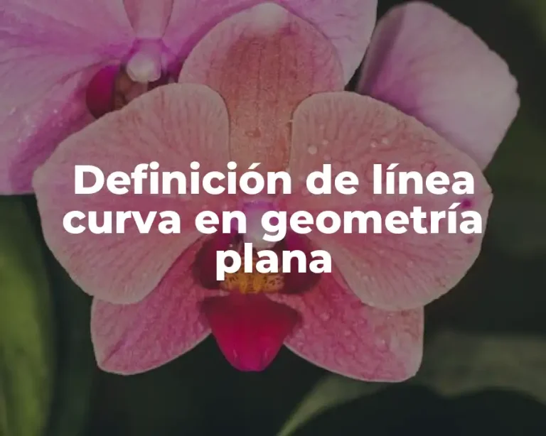 Definición de línea curva en geometría plana
