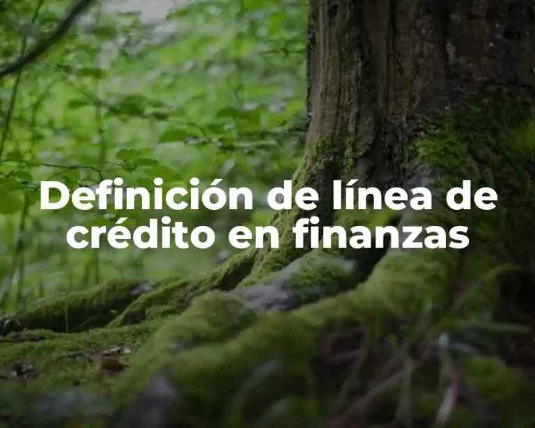 Definición de línea de crédito en finanzas
