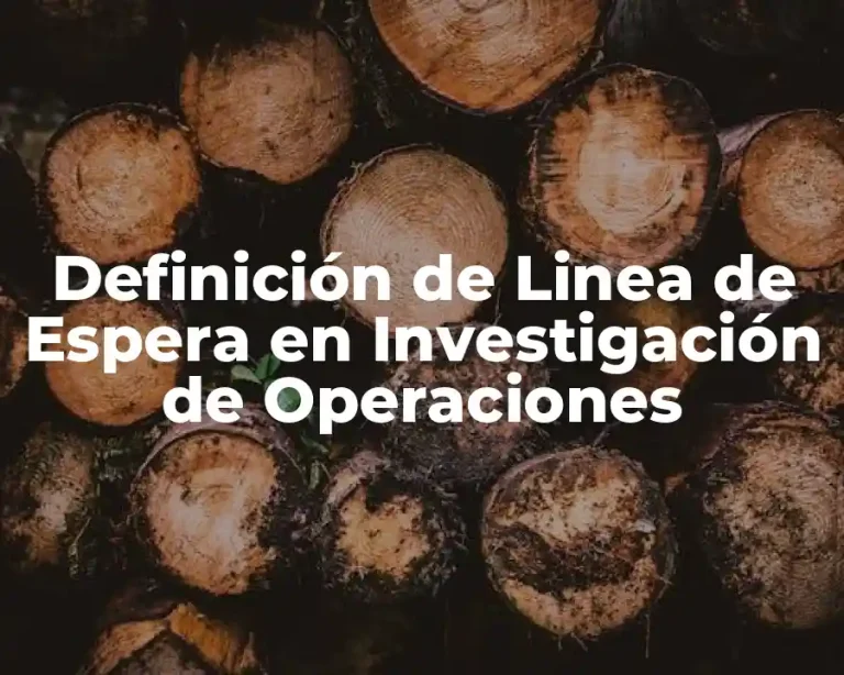 Definición de Linea de Espera en Investigación de Operaciones