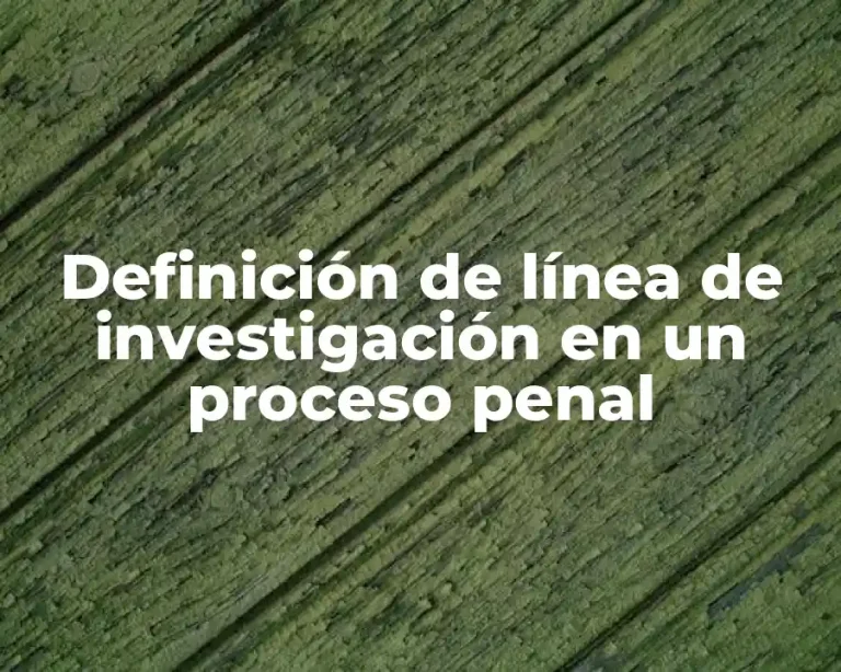 Definición de línea de investigación en un proceso penal