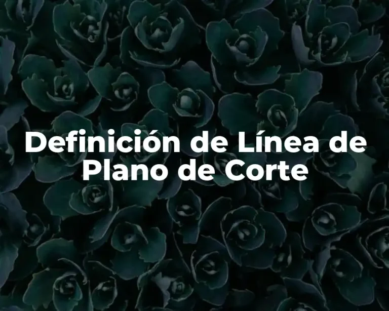 Definición de Línea de Plano de Corte