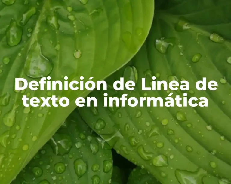 Definición de Linea de texto en informática