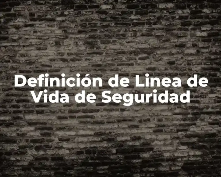 Definición de Linea de Vida de Seguridad