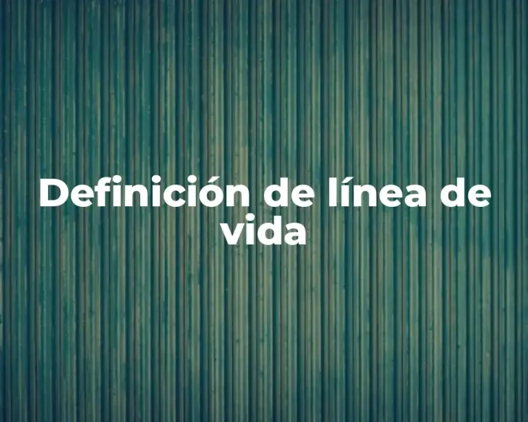 Definición de línea de vida