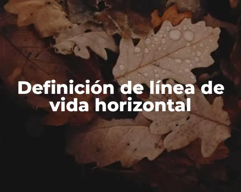 Definición de línea de vida horizontal