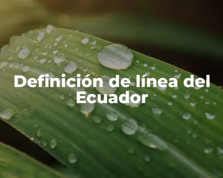 Definición de línea del Ecuador